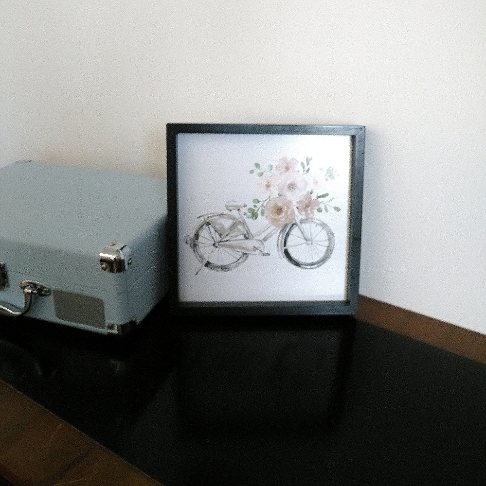 Floral bicycle wall art